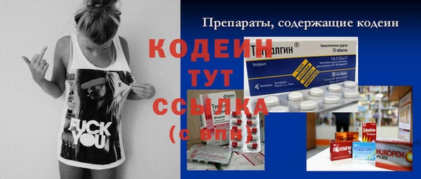 хмурый Михайловск