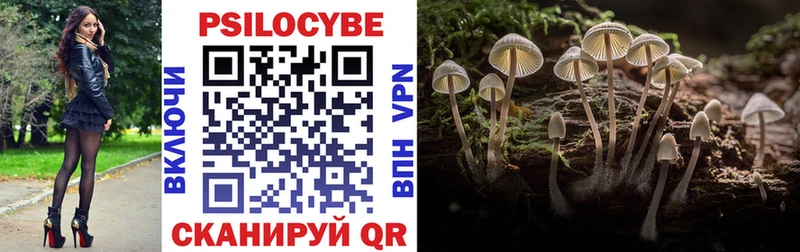 Галлюциногенные грибы Cubensis  дарк нет состав  Петров Вал 